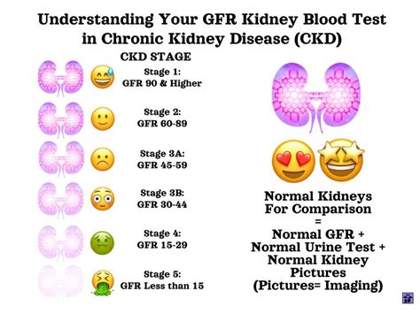 kidney blood test results borderline|Understanding test results .